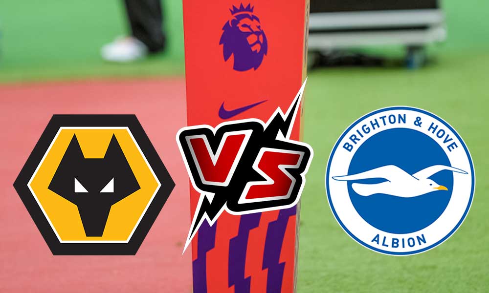 مشاهدة مباراة برايتون و وولفرهامبتون بث مباشر Brighton  vs Wolverhampton